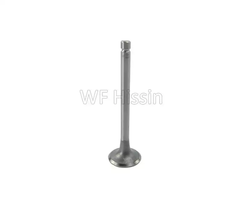 Exhaust valve Yuchai